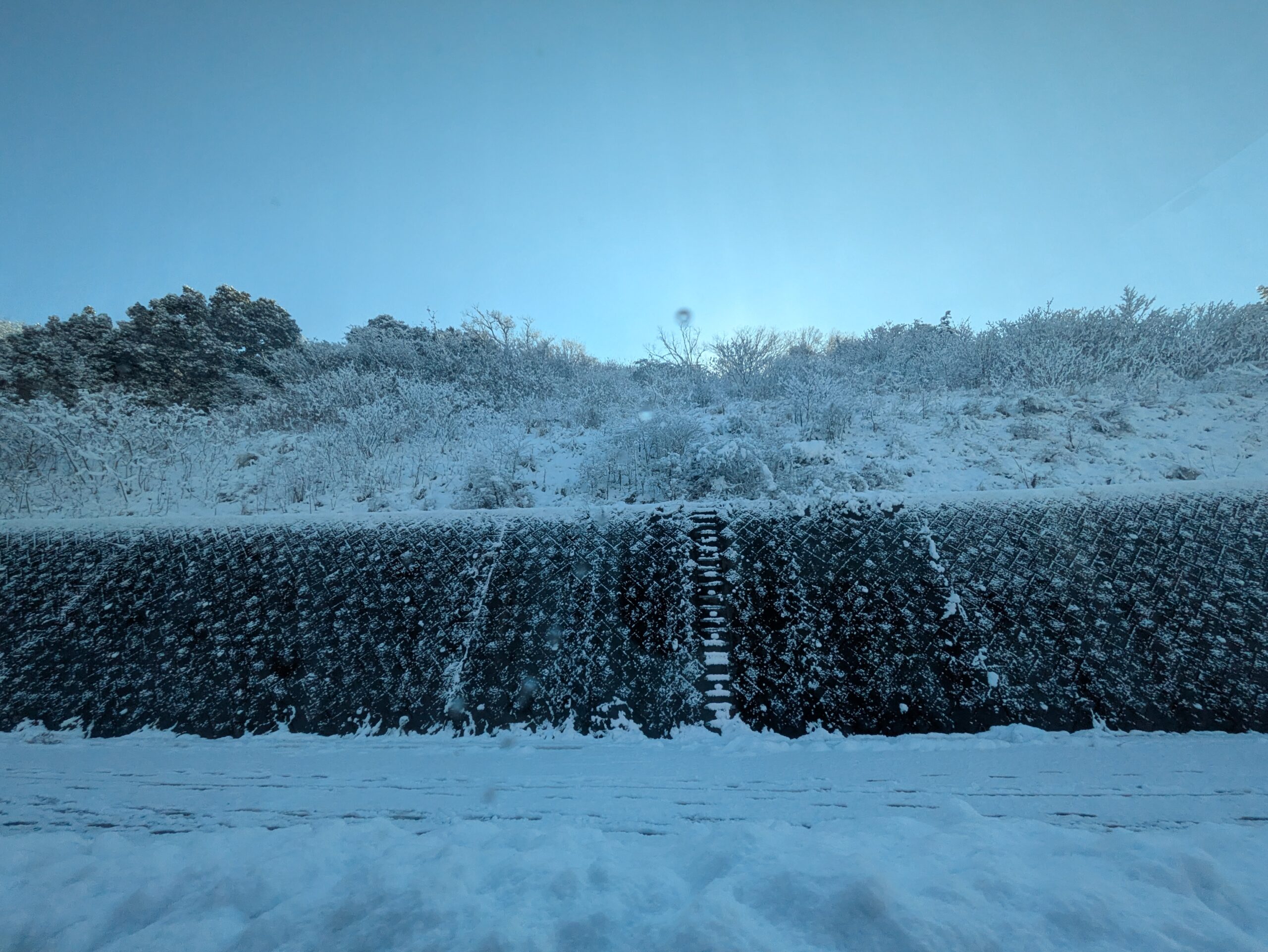 寒暖差に気をつけたい所だ〜