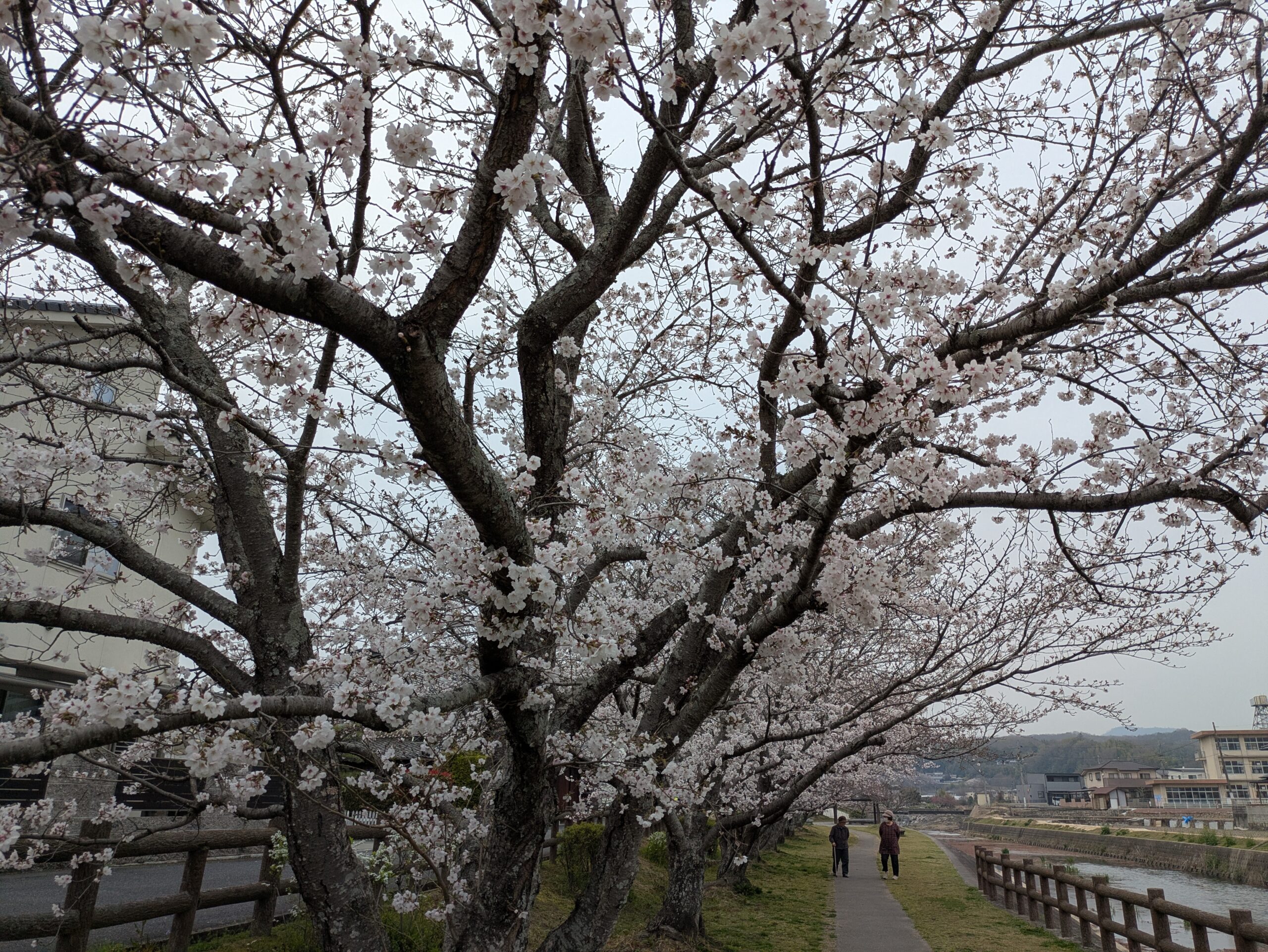 ストレートの季節がボチボチ来ましたね〜🤗