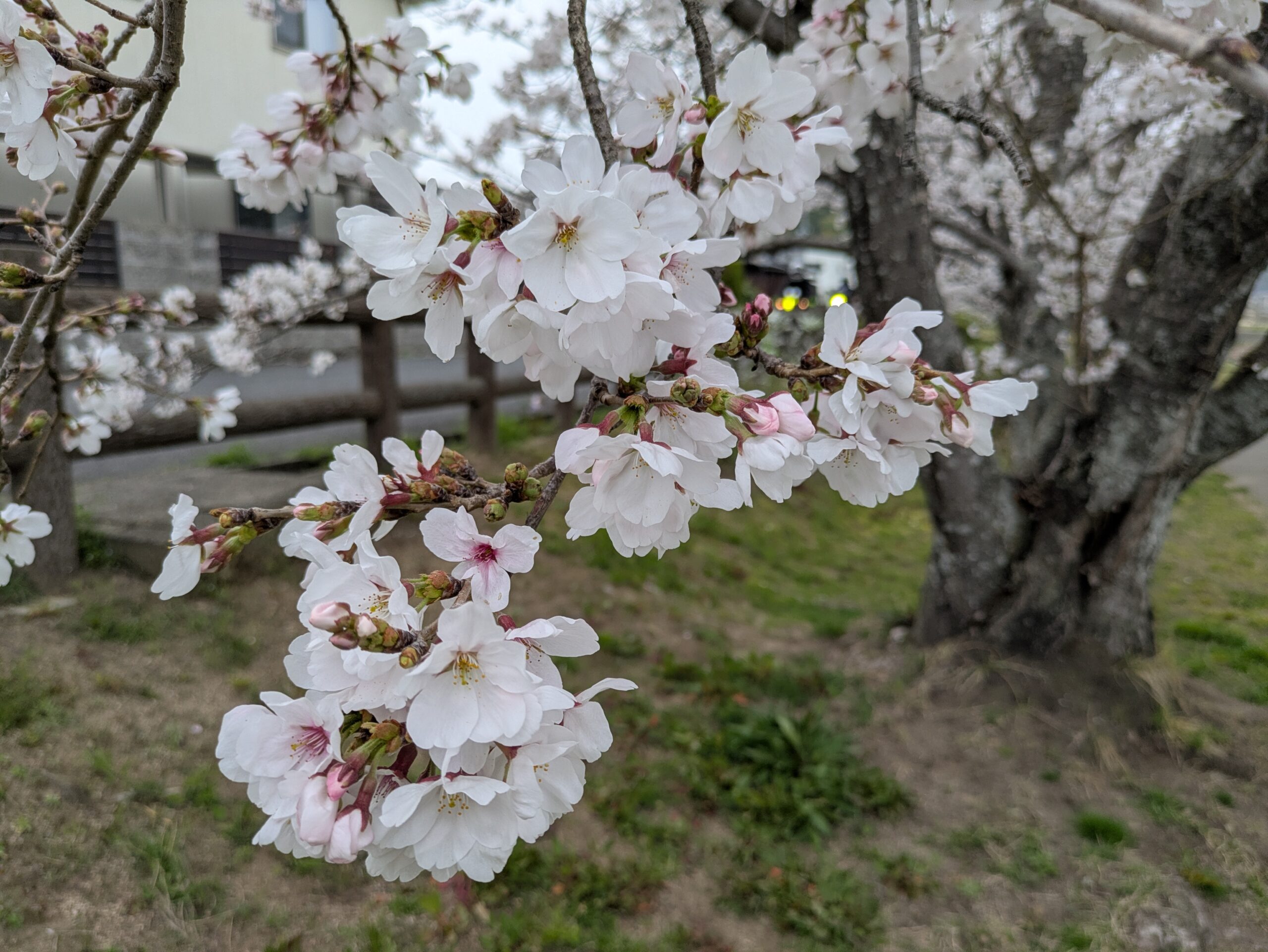 久々の投稿だわ(笑)