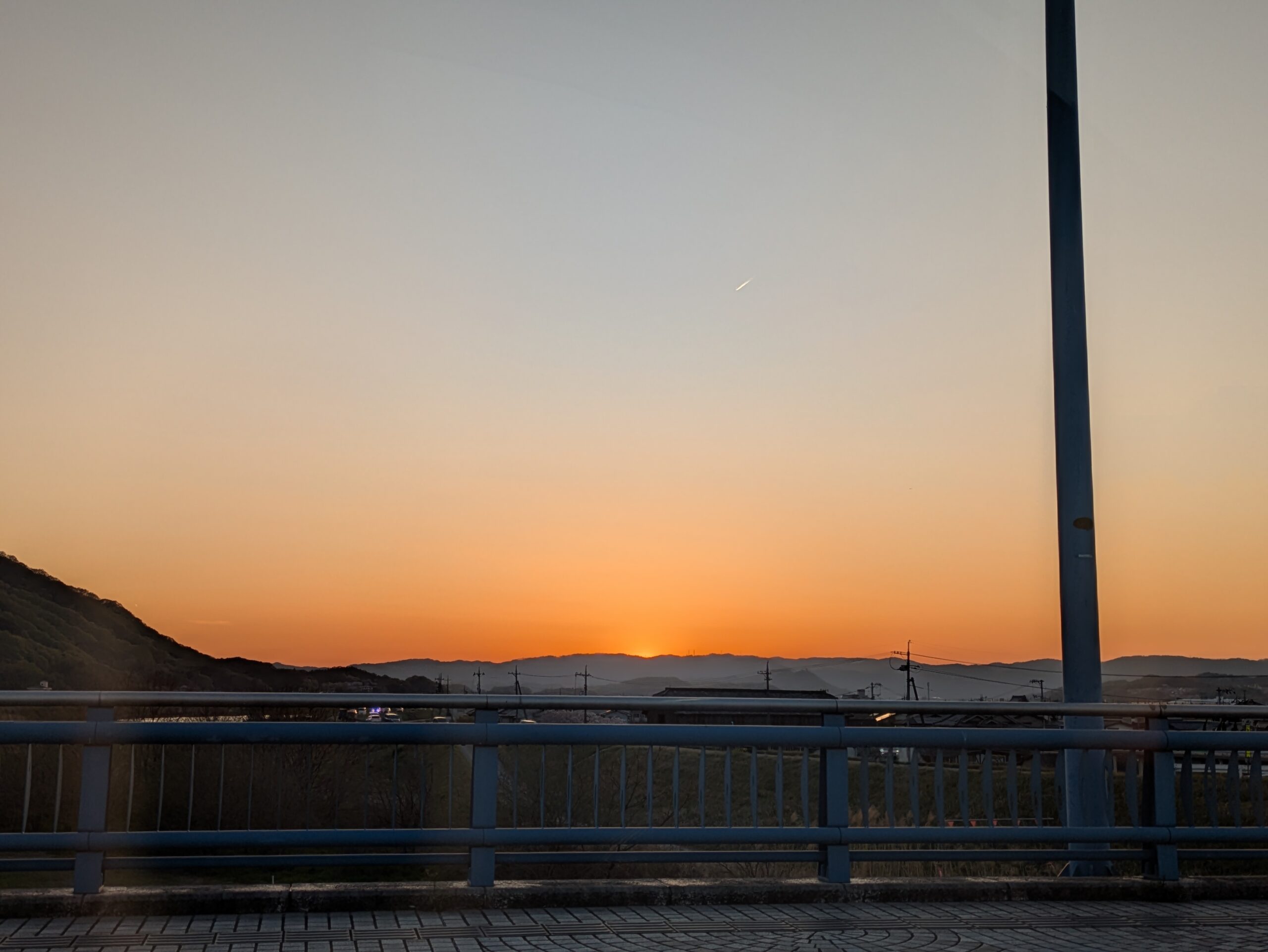 本物の美容師目指しとる。これでもな…