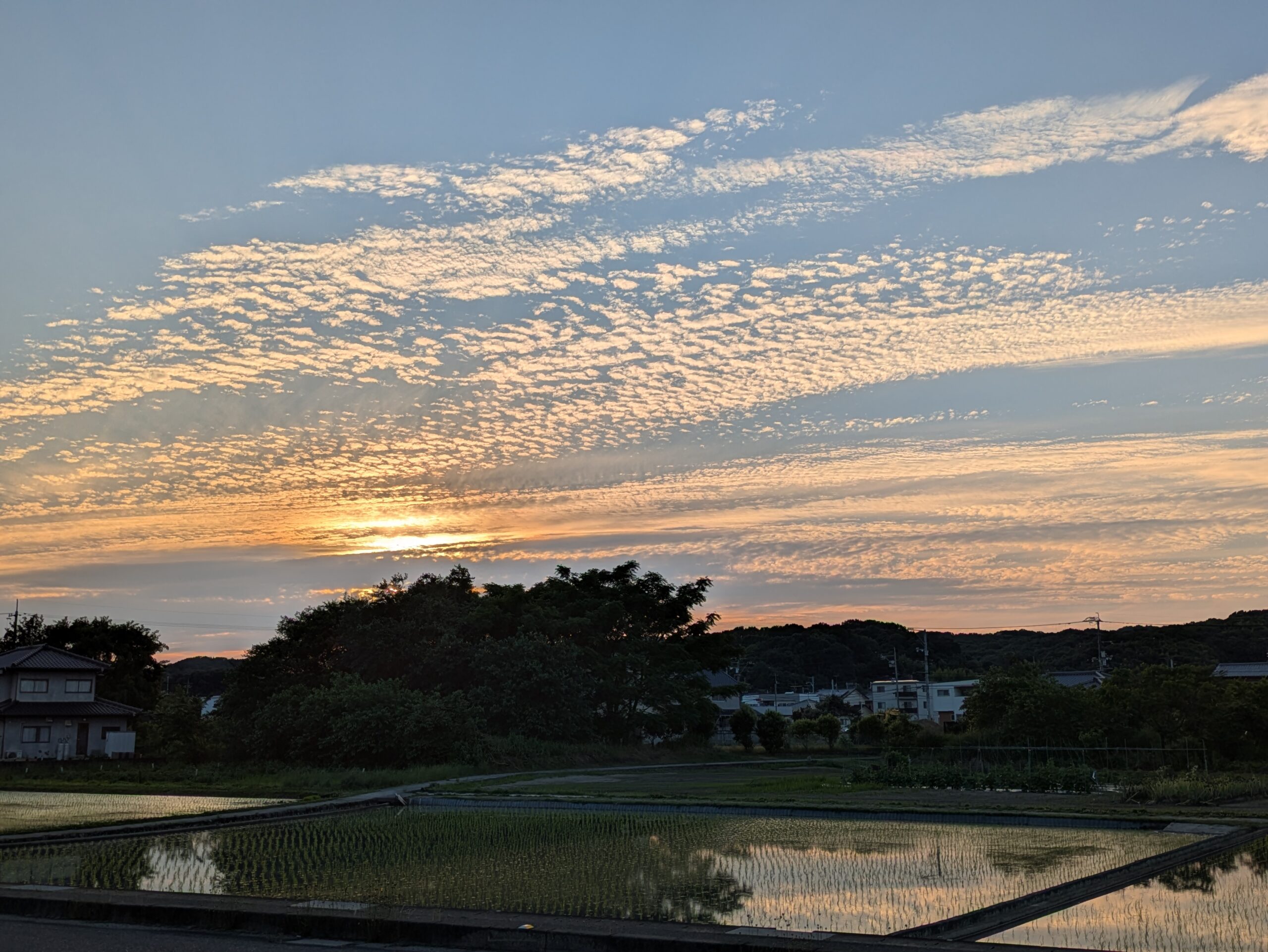 心も髪も綺麗に