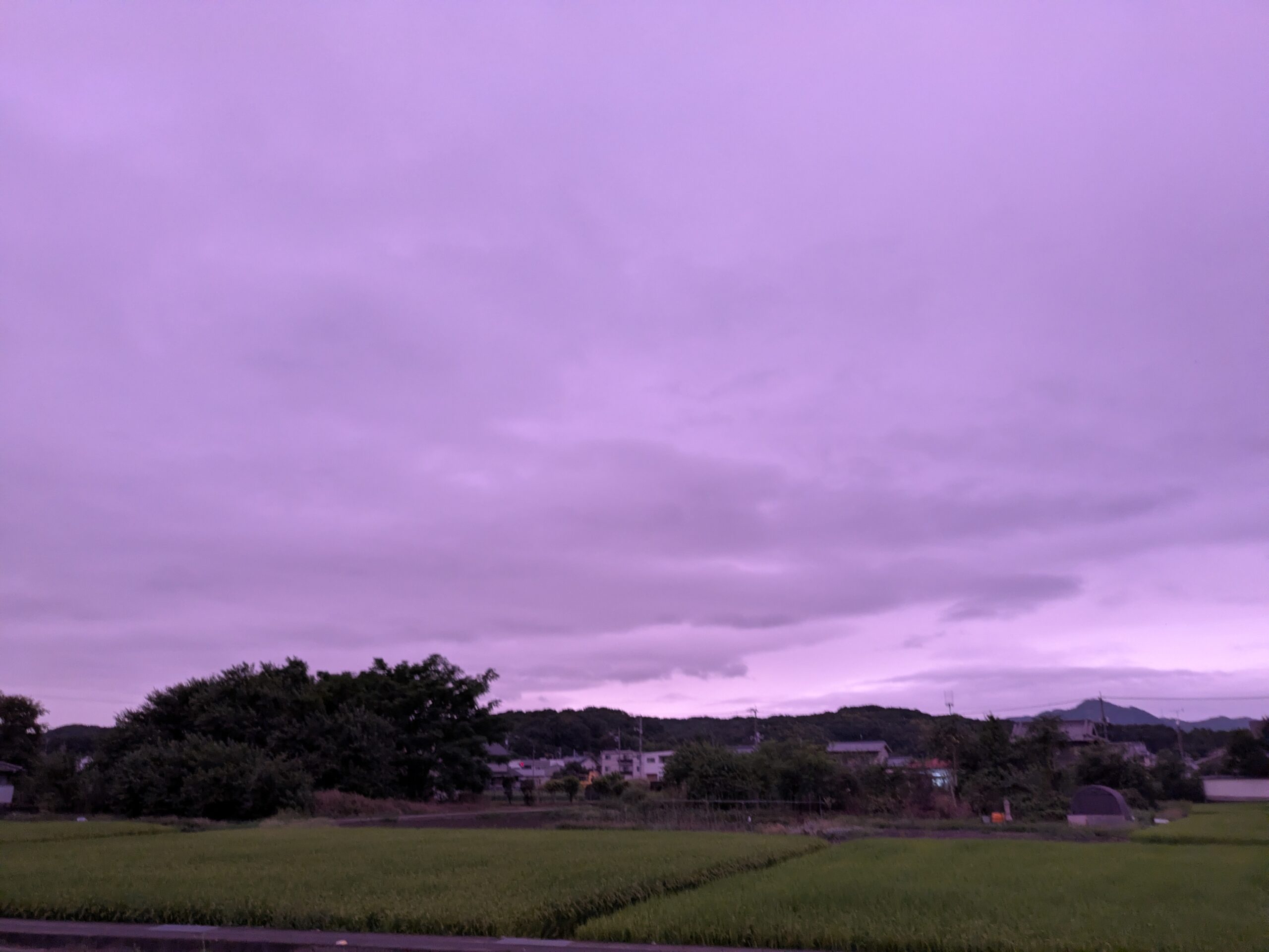 定期的に整えてよ〜😚
